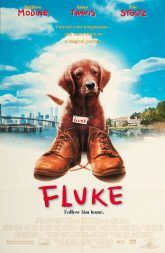 Fluke (1995) Sinhala Dubbed WEBRip 720p & 1080p